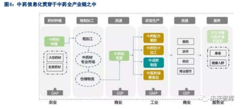 生物醫(yī)藥中藥產(chǎn)業(yè)信息化專題報(bào)告 軟件與信息技術(shù)服務(wù)的角色與發(fā)展